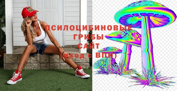 метадон Беломорск