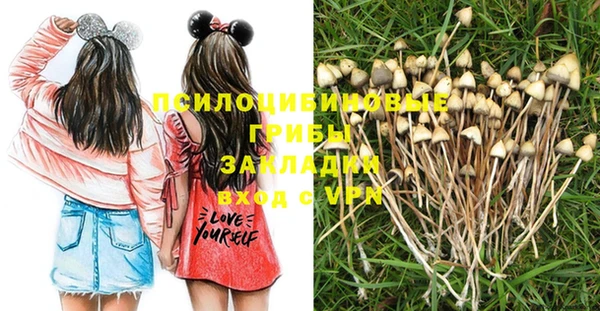 крисы Белокуриха