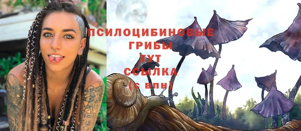 метадон Беломорск