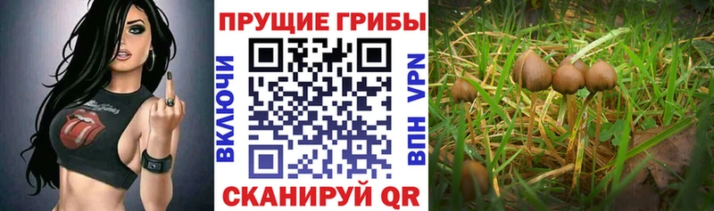 Галлюциногенные грибы GOLDEN TEACHER  хочу   kraken рабочий сайт  Вуктыл 